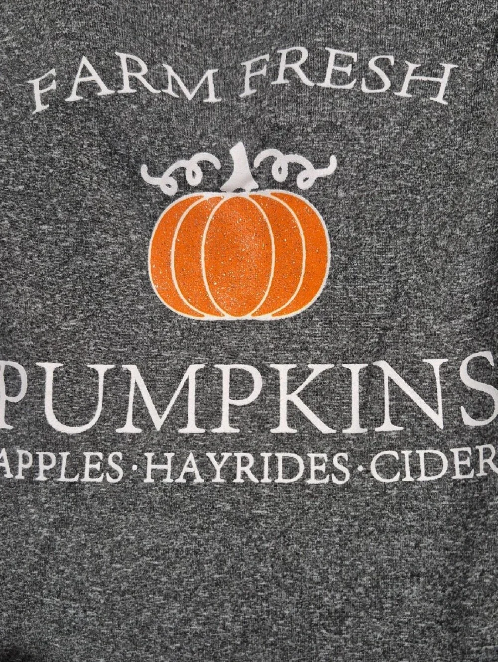 Kids Farm Fresh Pumpkins Graphic Top - Gray & Orange